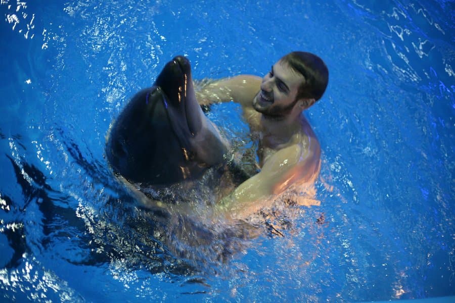 Дельфинарий — фото 29