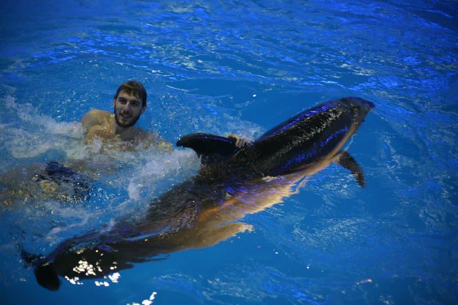 Дельфинарий — фото 30