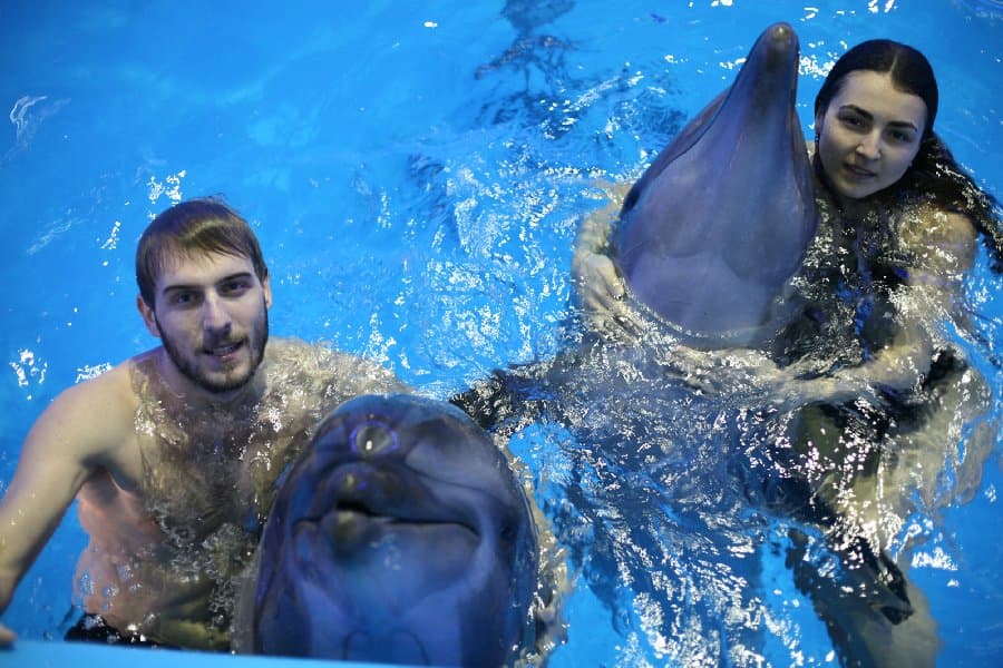 Дельфинарий — фото 32