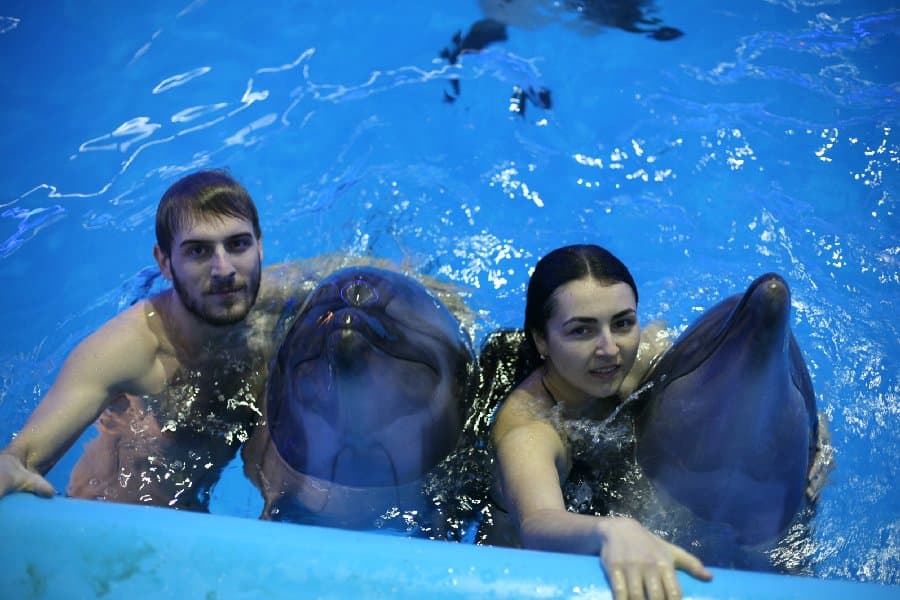 Дельфинарий — фото 33