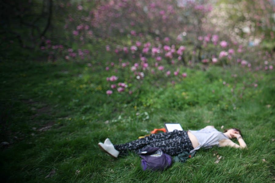 Магнолии — фото 11