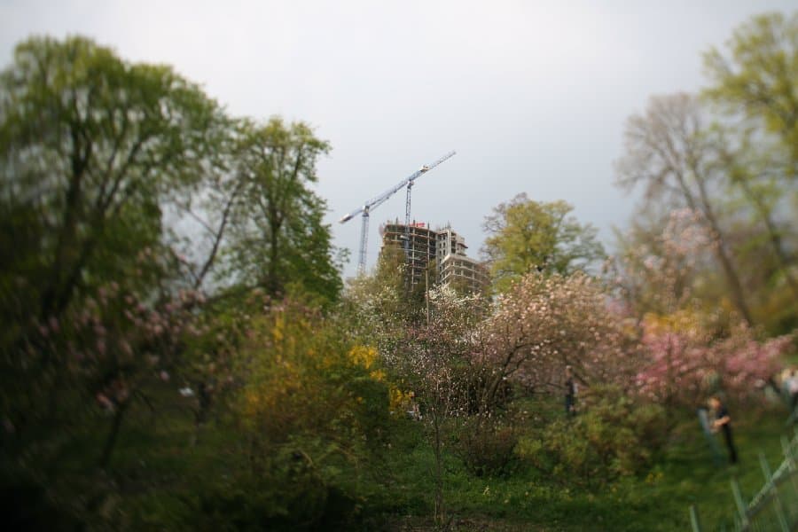 Магнолии — фото 18