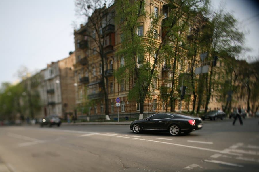 Магнолии — фото 19