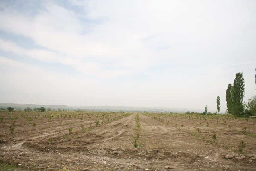 Турция — фото 3