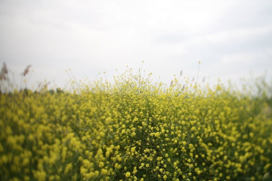 Турция — фото 5