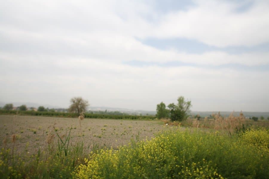 Турция — фото 6