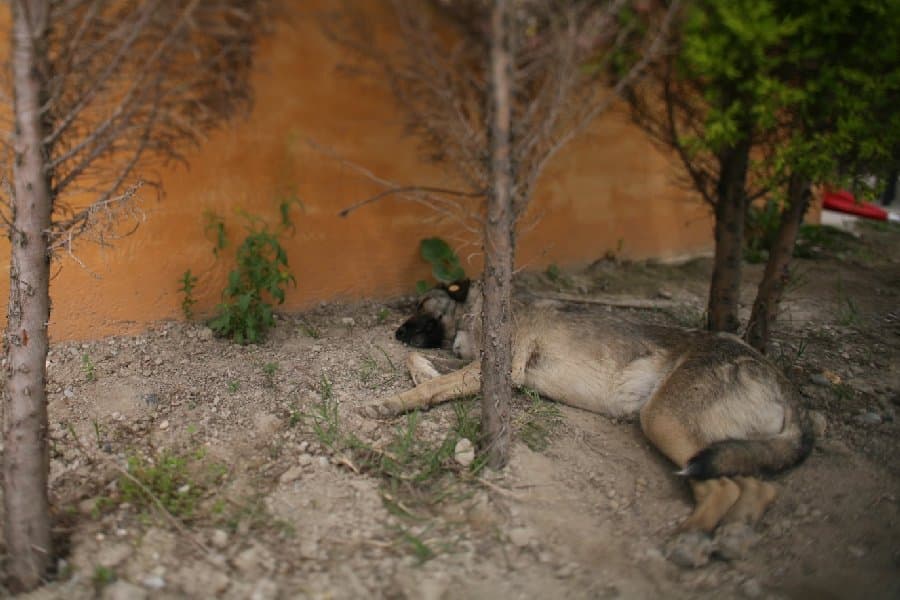 Турция — фото 8