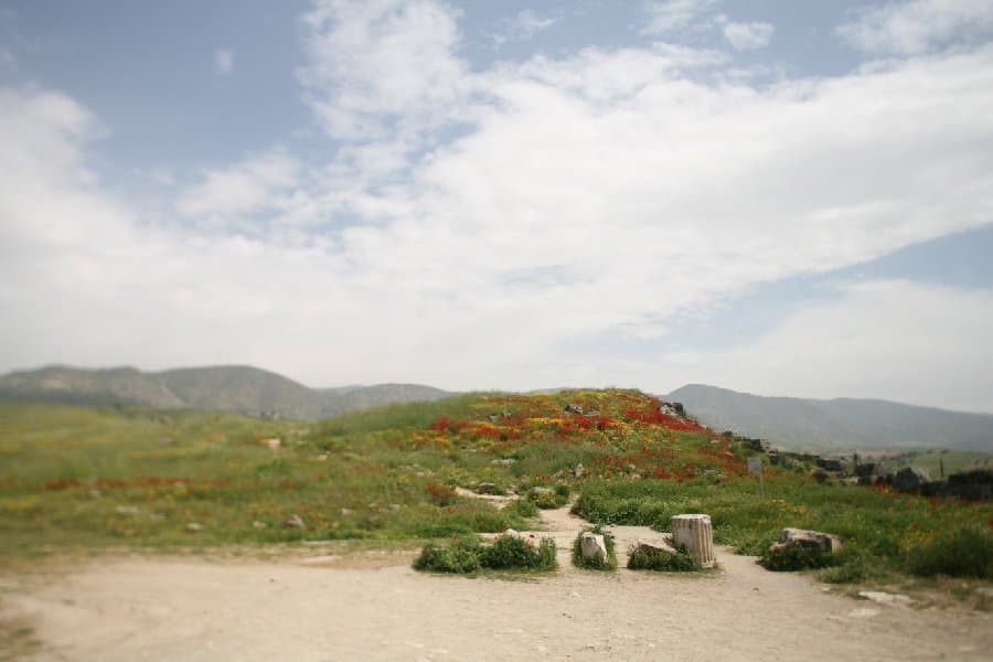 Турция — фото 16