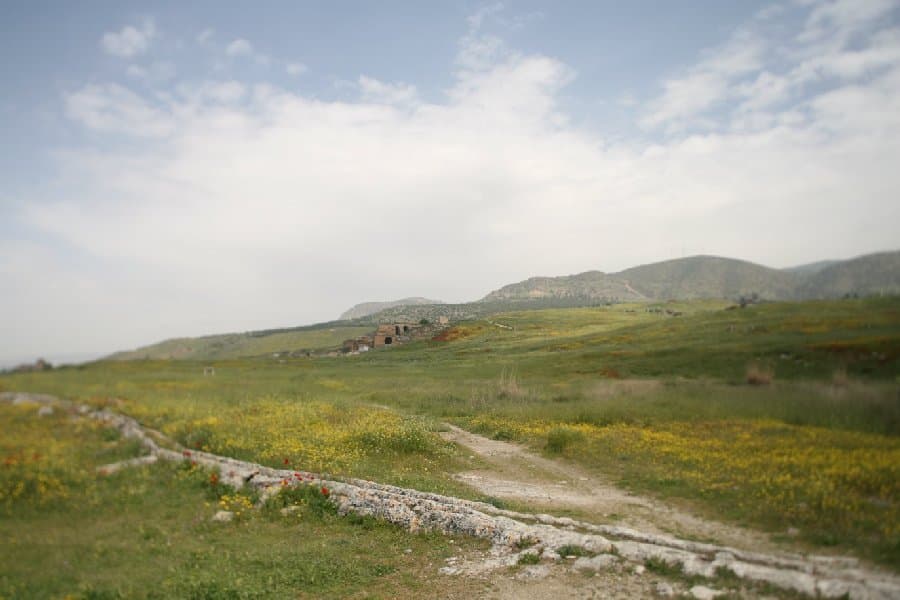 Турция — фото 17