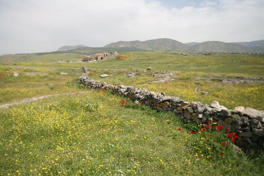 Турция — фото 19