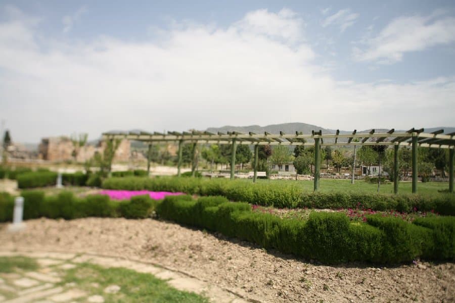 Турция — фото 20