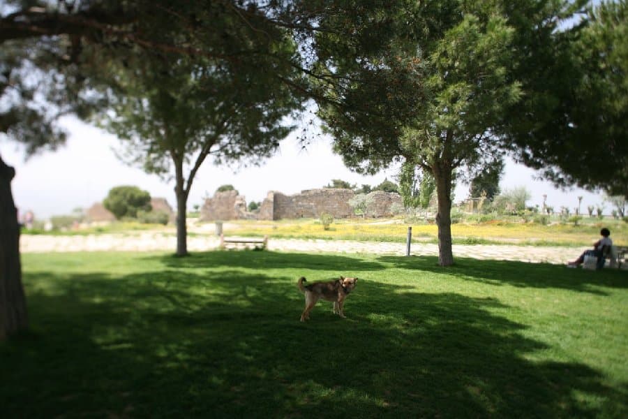 Турция — фото 25