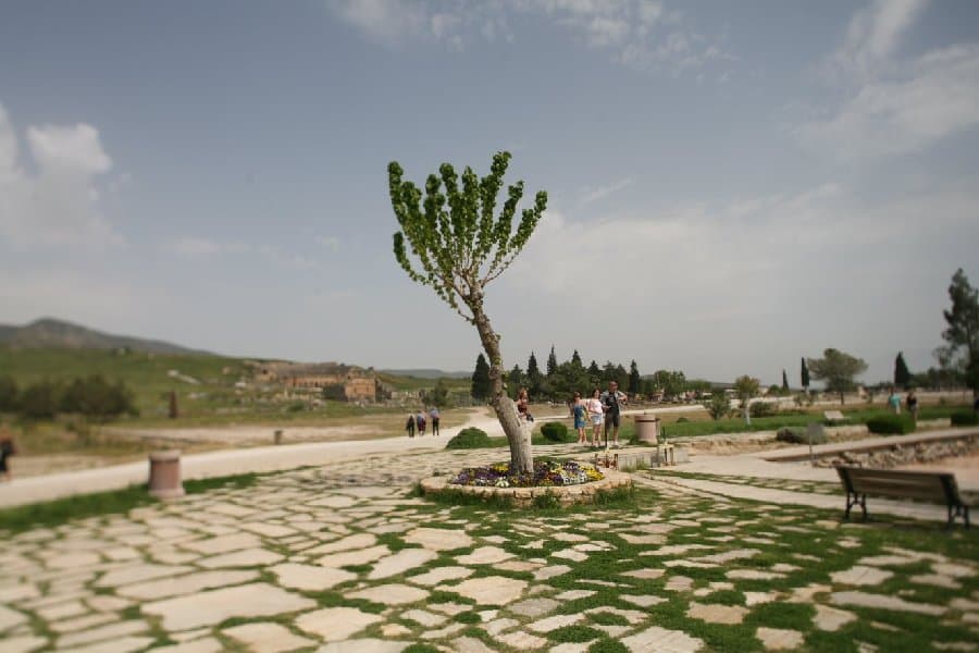 Турция — фото 44