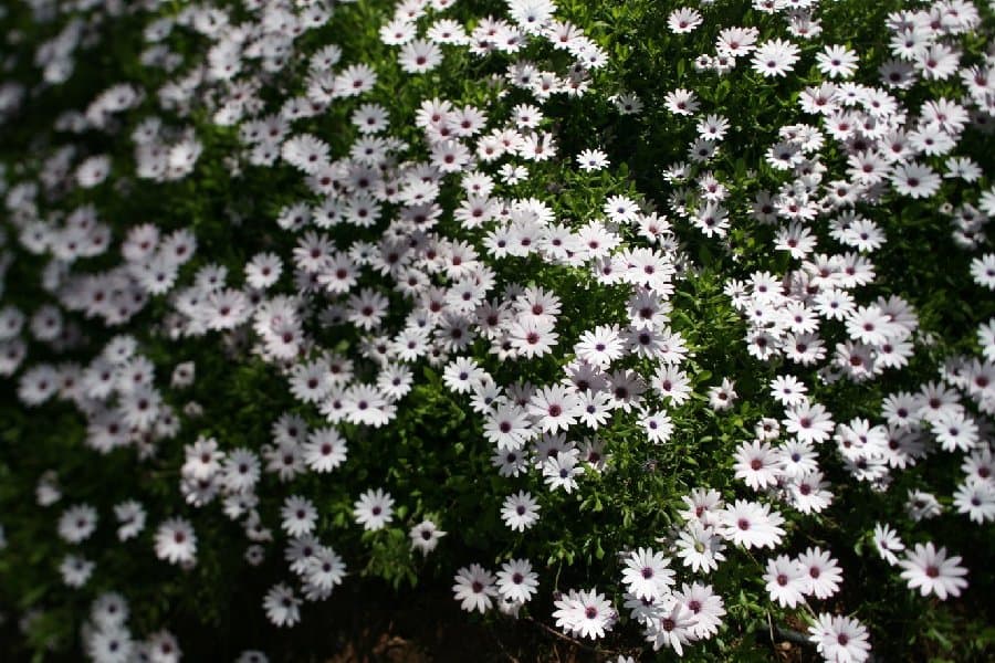 Турция — фото 46