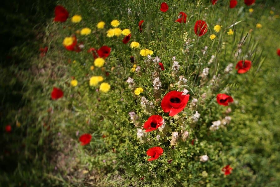 Турция — фото 51