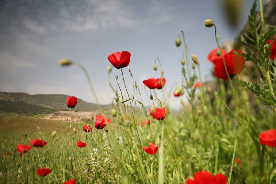 Турция — фото 52