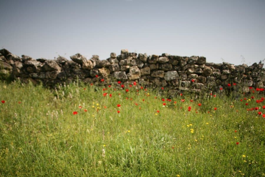 Турция — фото 53