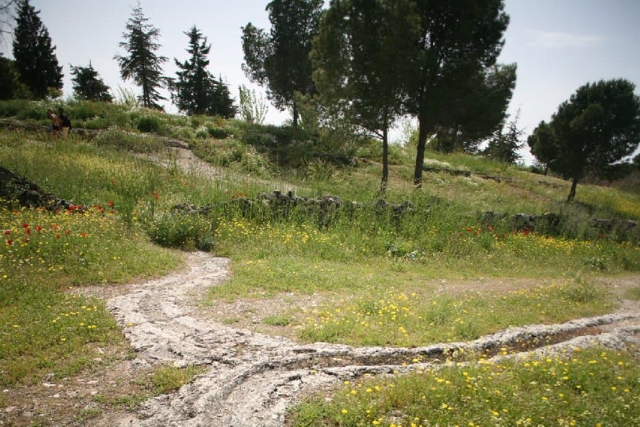 Турция — фото 54