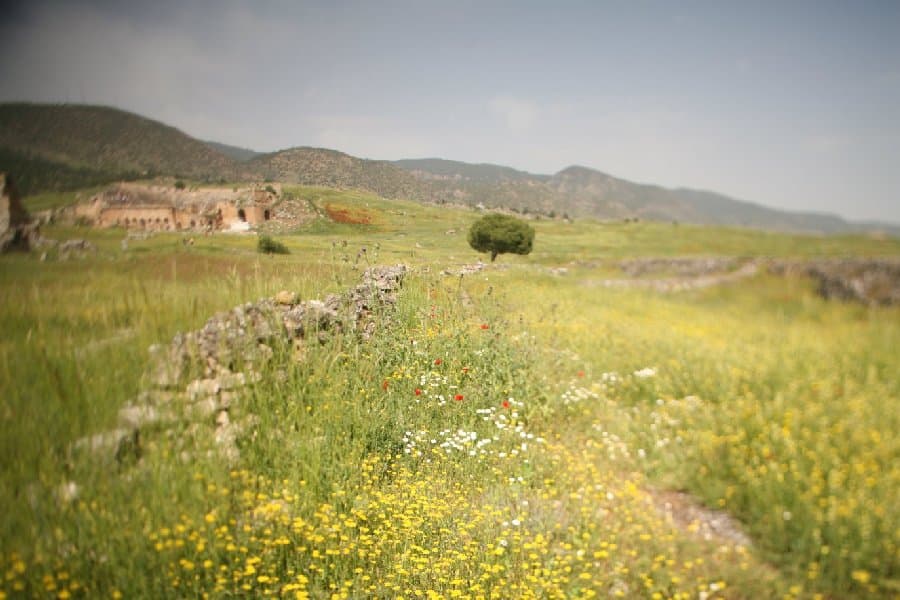 Турция — фото 55