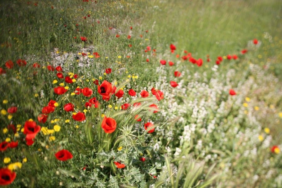 Турция — фото 56