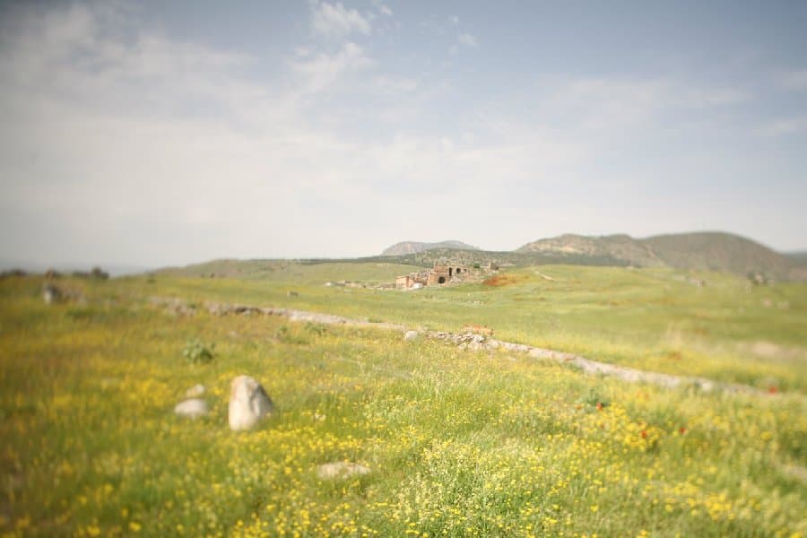 Турция — фото 57