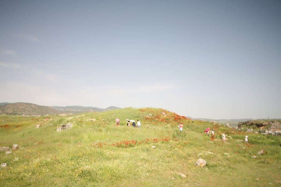 Турция — фото 58