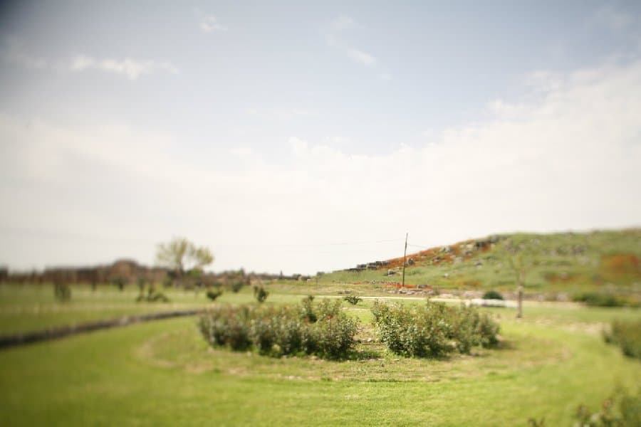 Турция — фото 60