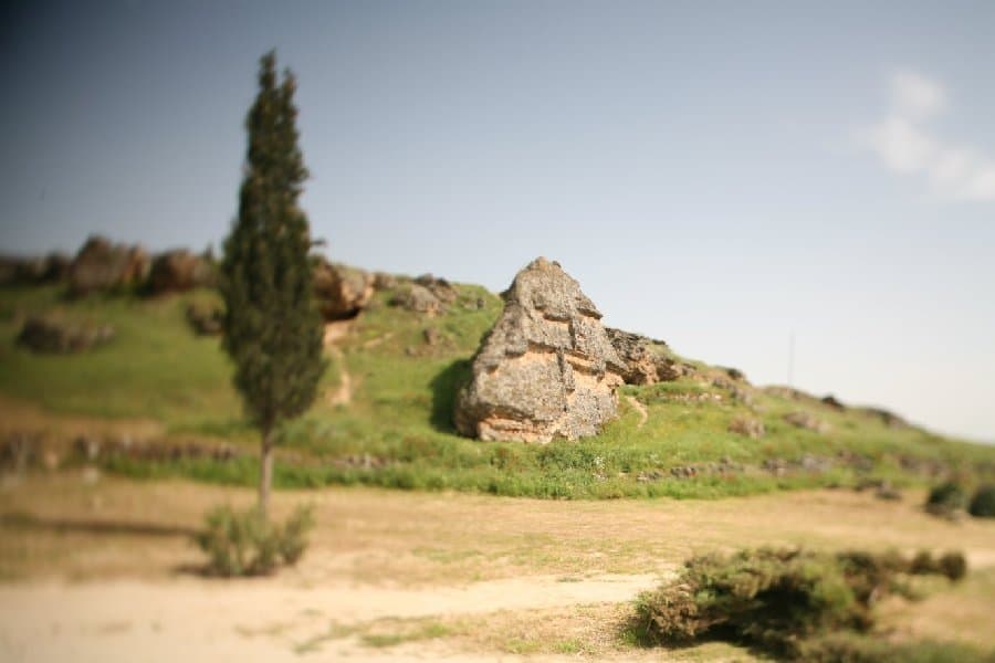 Турция — фото 61