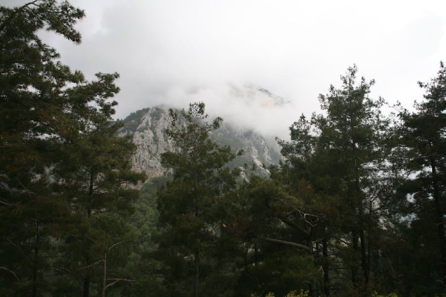 Турция — фото 63