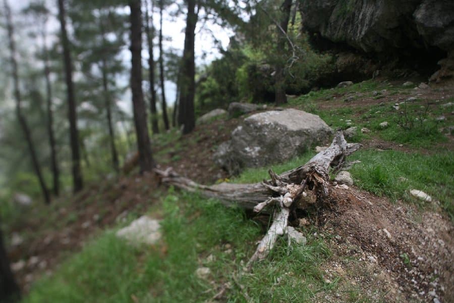 Турция — фото 64