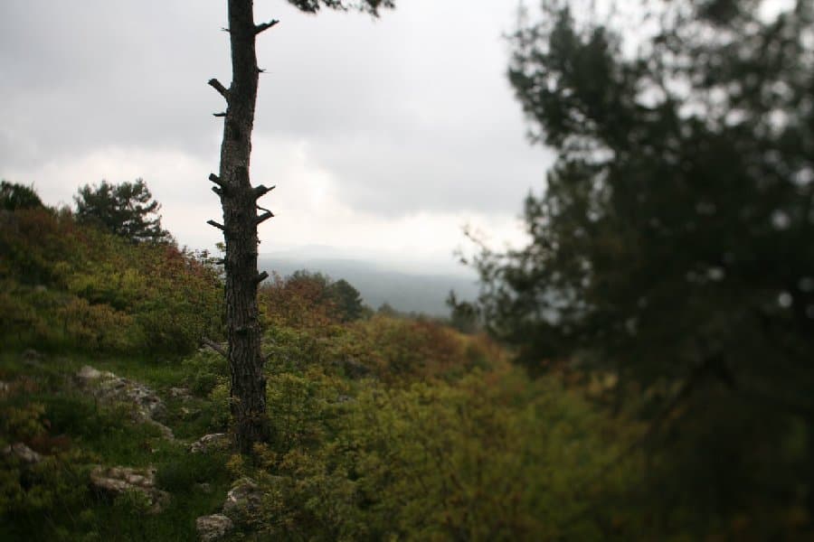 Турция — фото 66