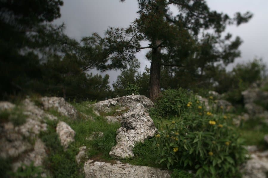 Турция — фото 67