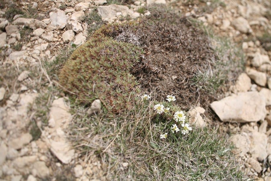 Турция — фото 85