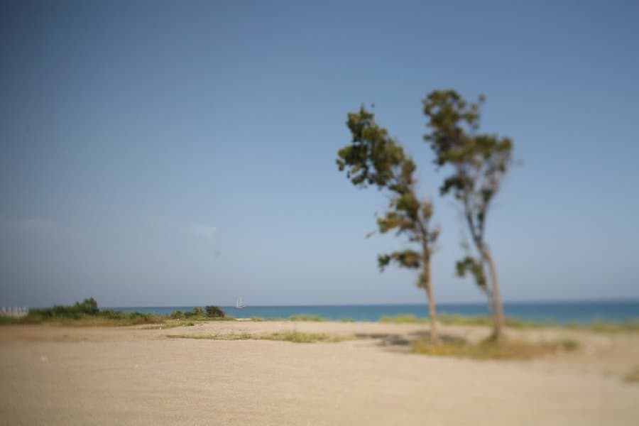 Турция — фото 89