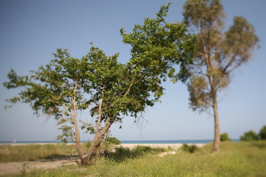 Турция — фото 90