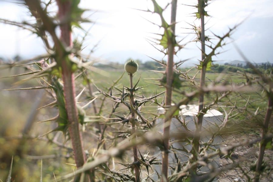 Турция — фото 91