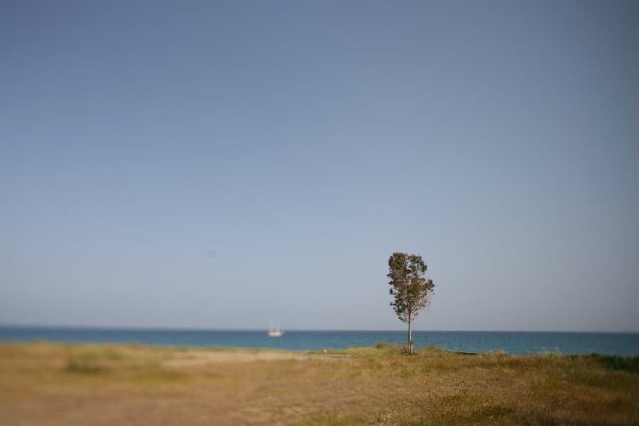 Турция — фото 92