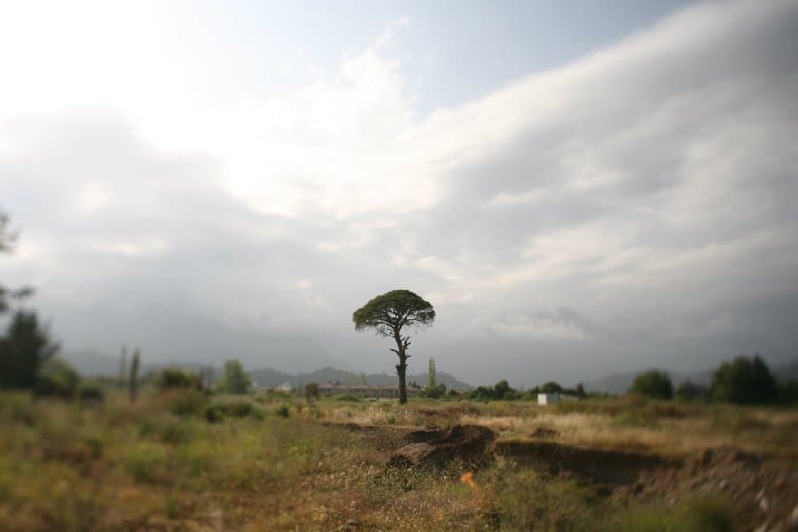 Турция — фото 93