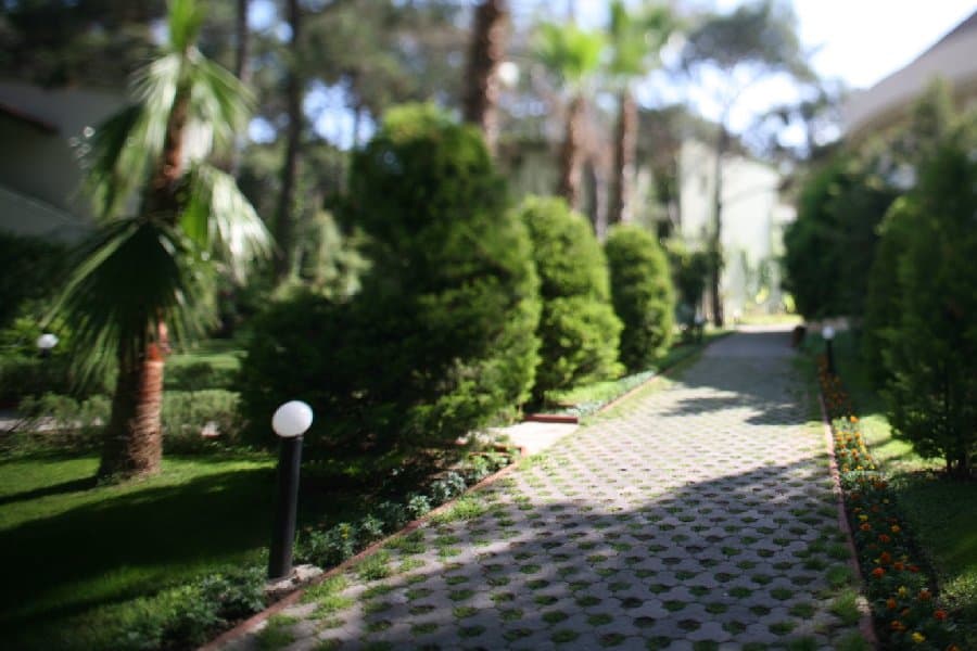 Турция — фото 107