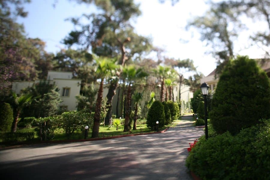 Турция — фото 108