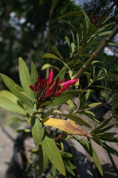 Турция — фото 114