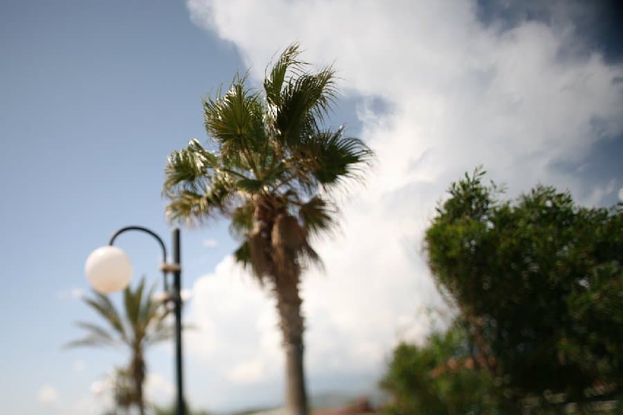 Турция — фото 115