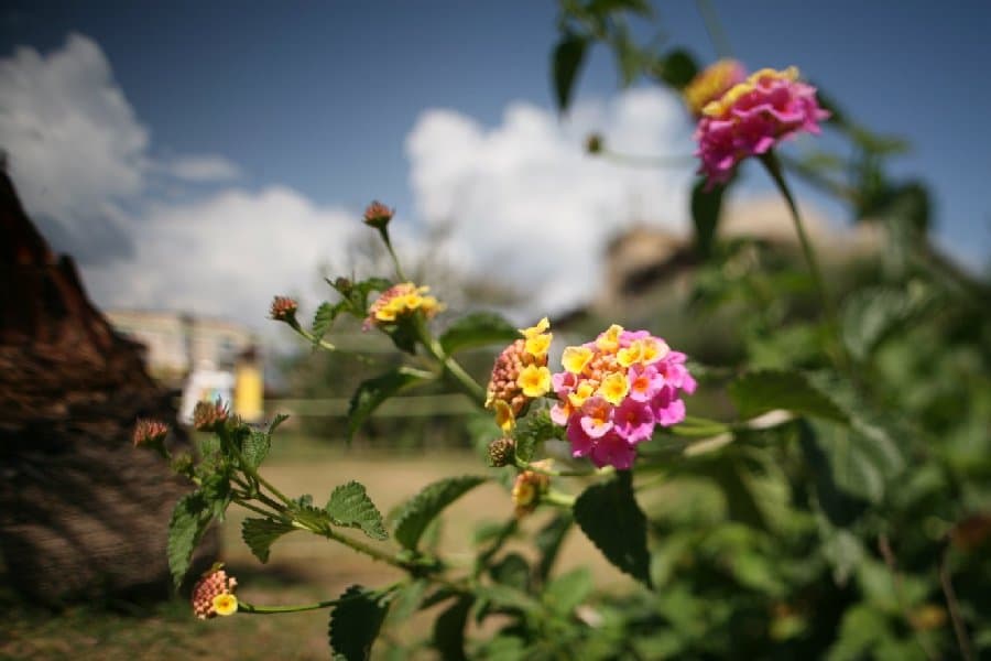 Турция — фото 117