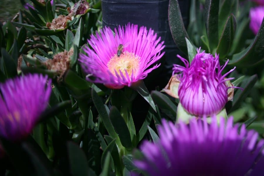 Турция — фото 119