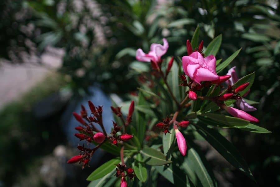 Турция — фото 120