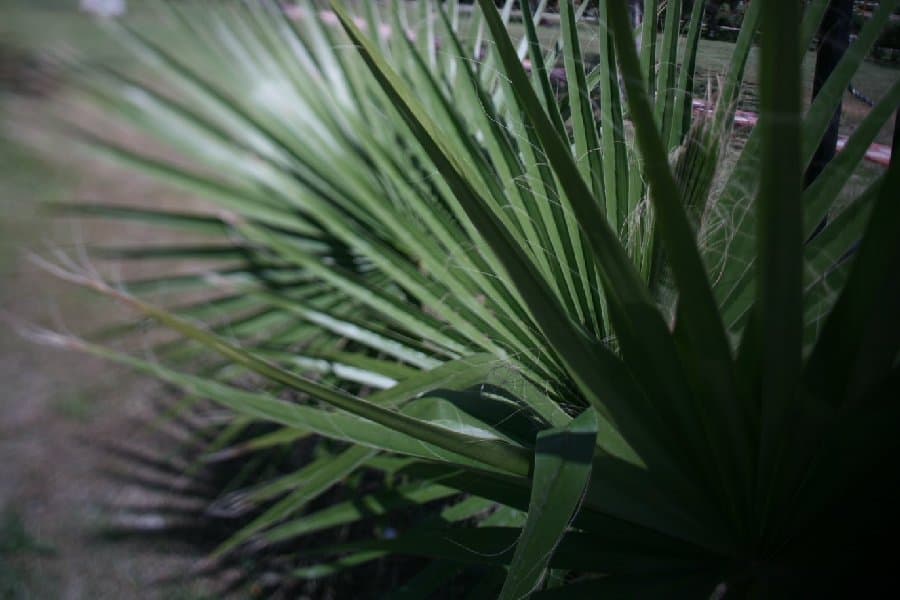 Турция — фото 121