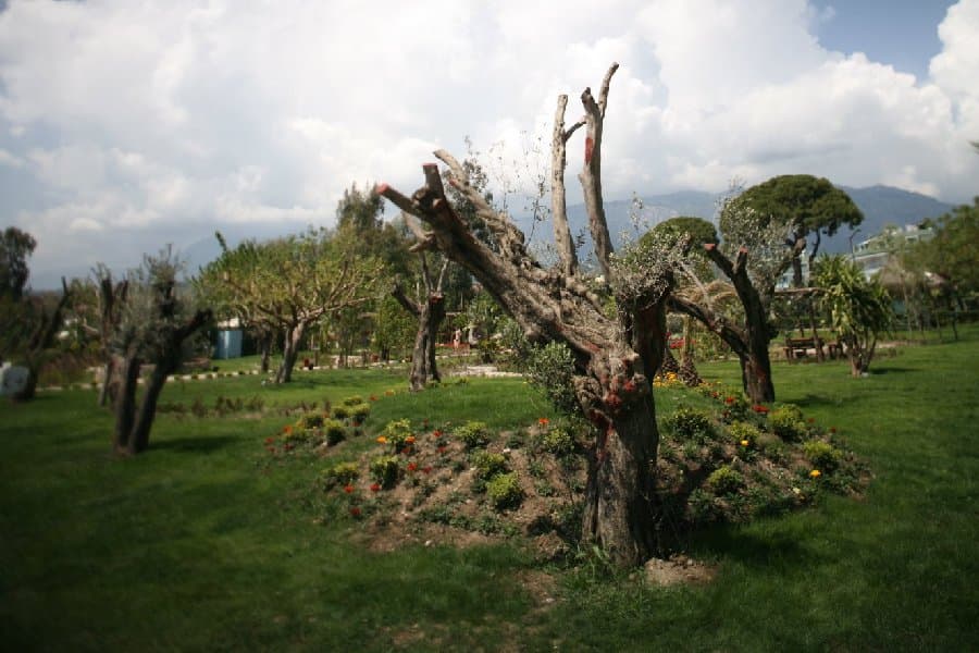 Турция — фото 122