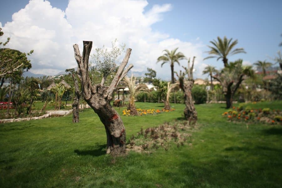 Турция — фото 123