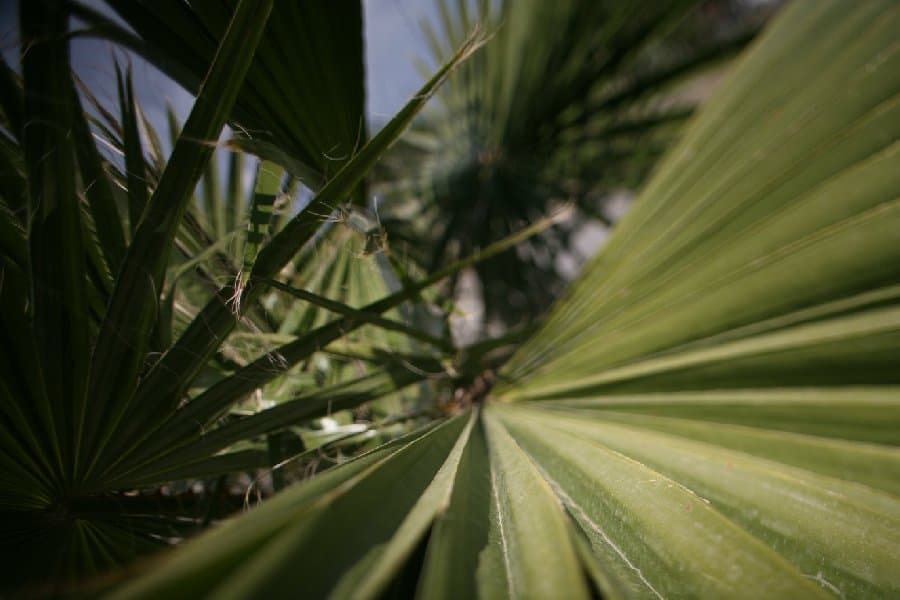 Турция — фото 138