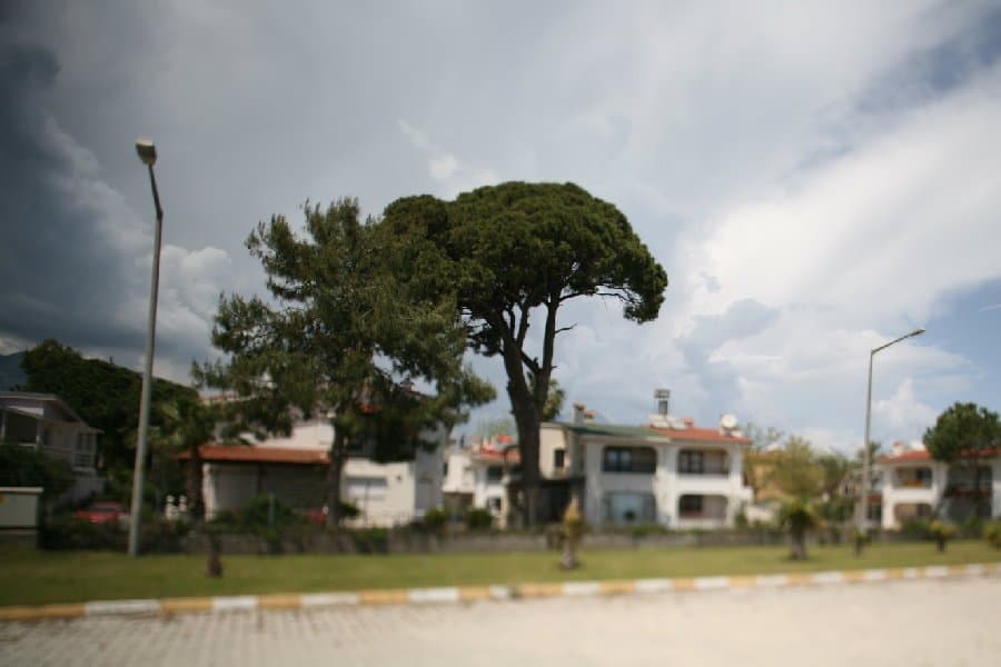 Турция — фото 140